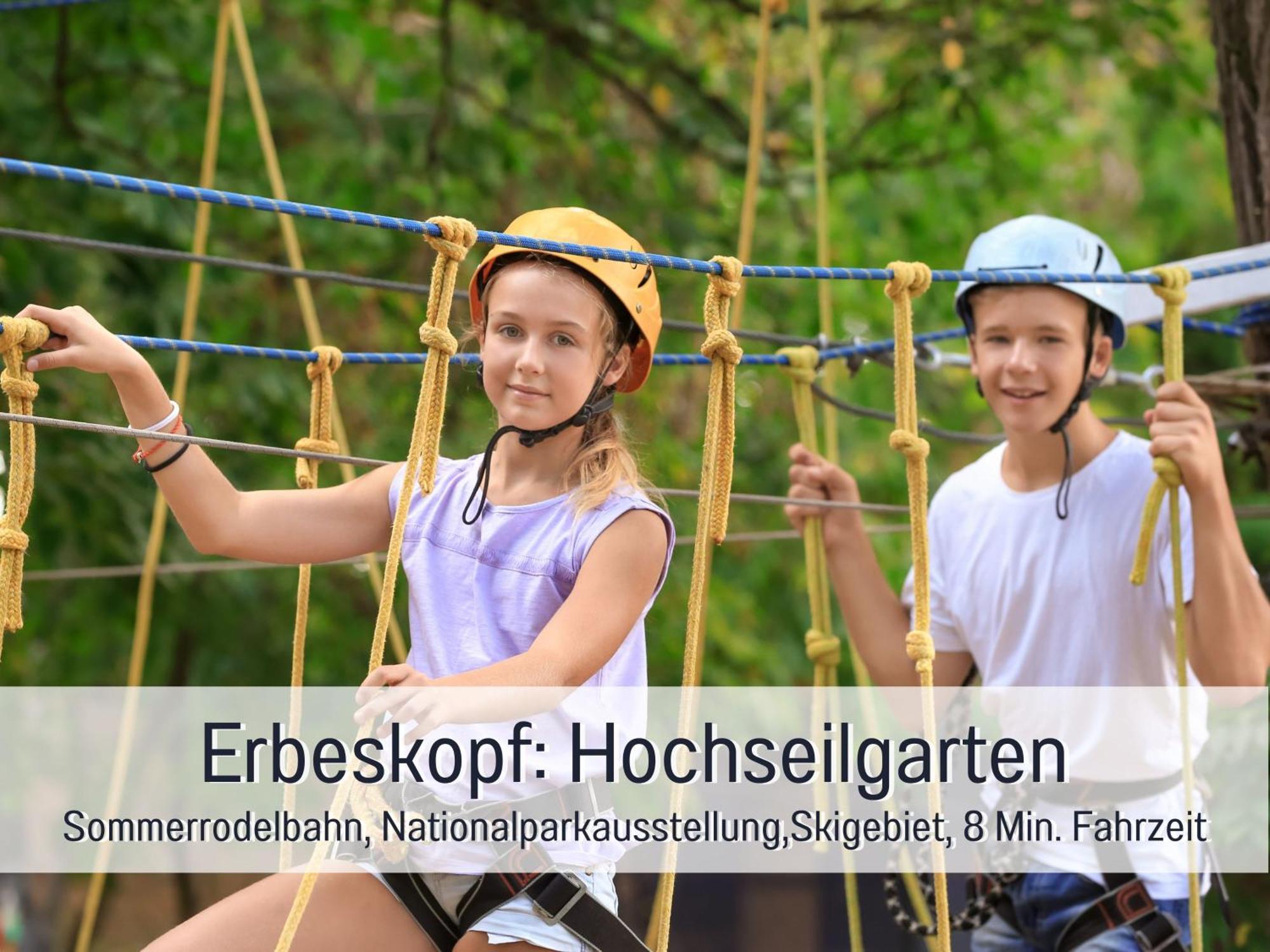 Natur-Chalet Zum Nationalpark Franz Inkl. E-Auto Allenbach Eksteriør bilde