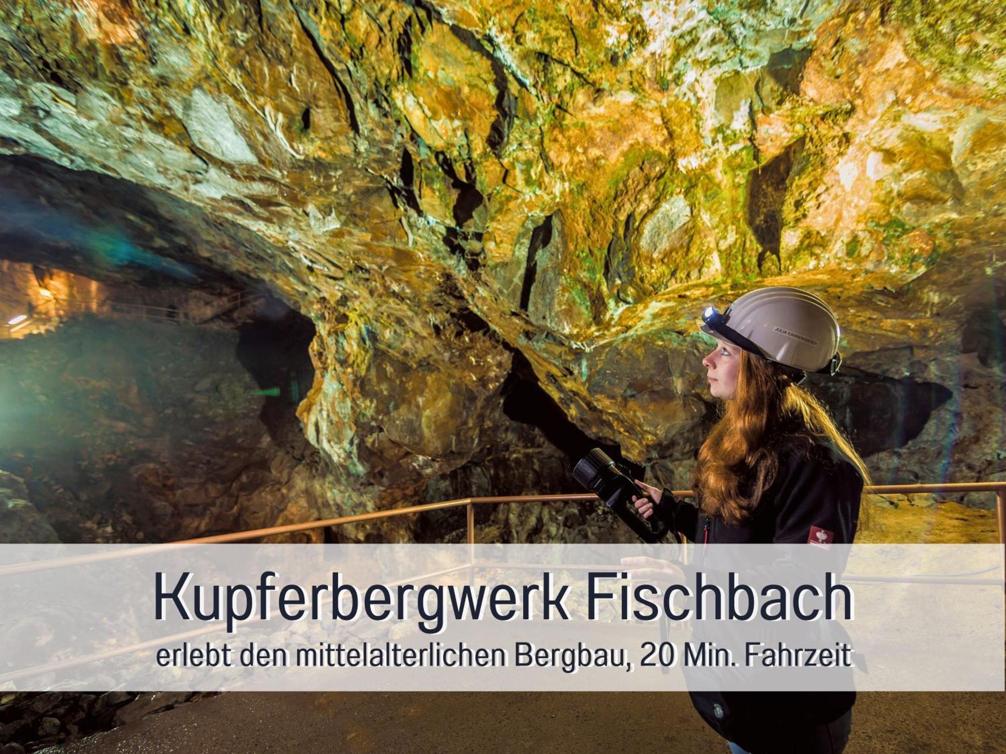 Natur-Chalet Zum Nationalpark Franz Inkl. E-Auto Allenbach Eksteriør bilde
