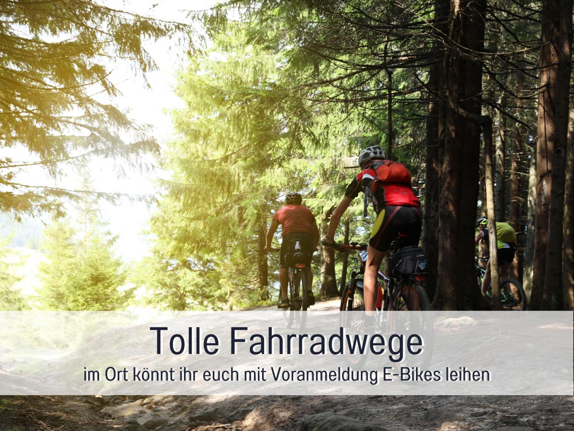 Natur-Chalet Zum Nationalpark Franz Inkl. E-Auto Allenbach Eksteriør bilde