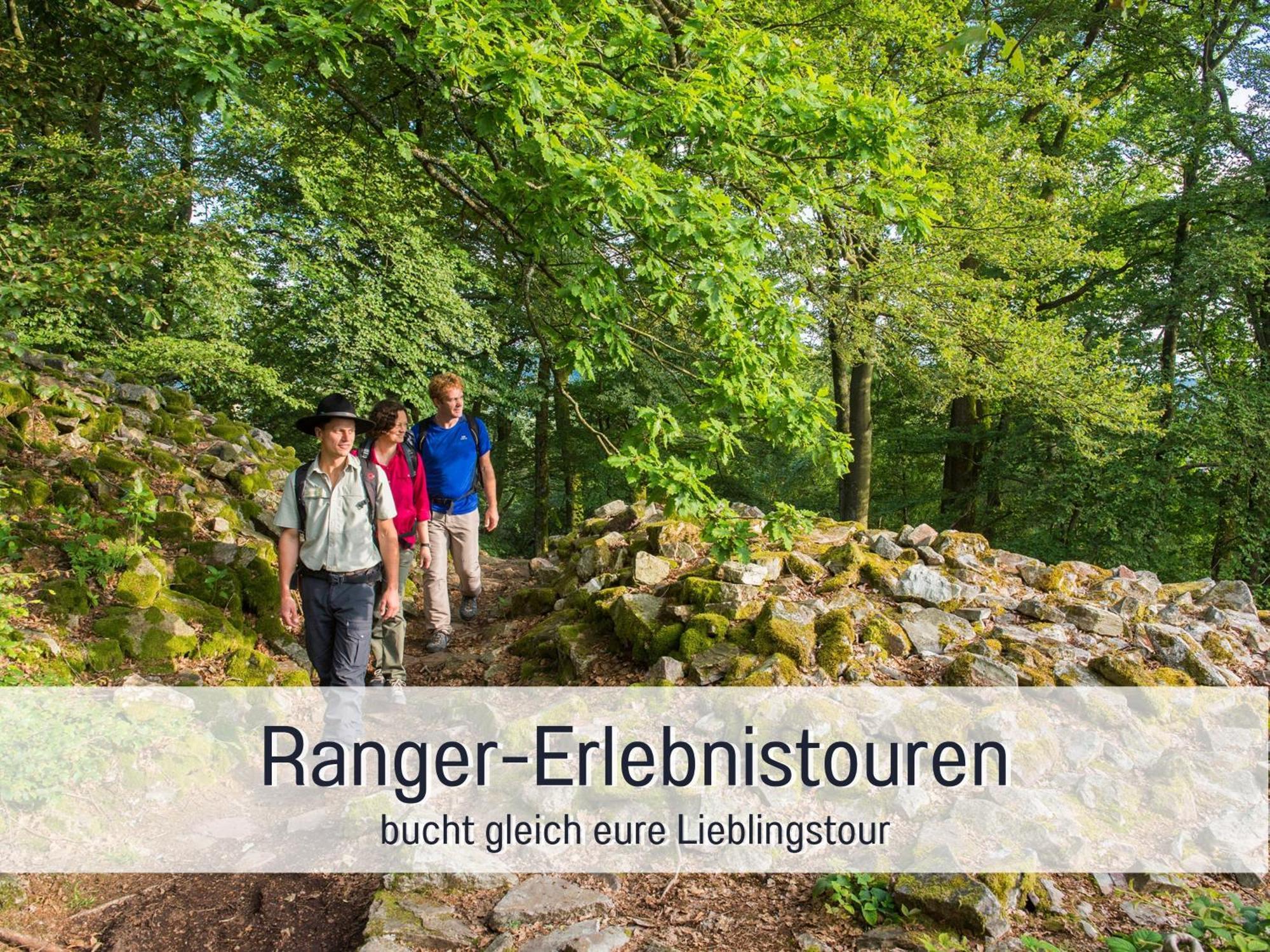 Natur-Chalet Zum Nationalpark Franz Inkl. E-Auto Allenbach Eksteriør bilde