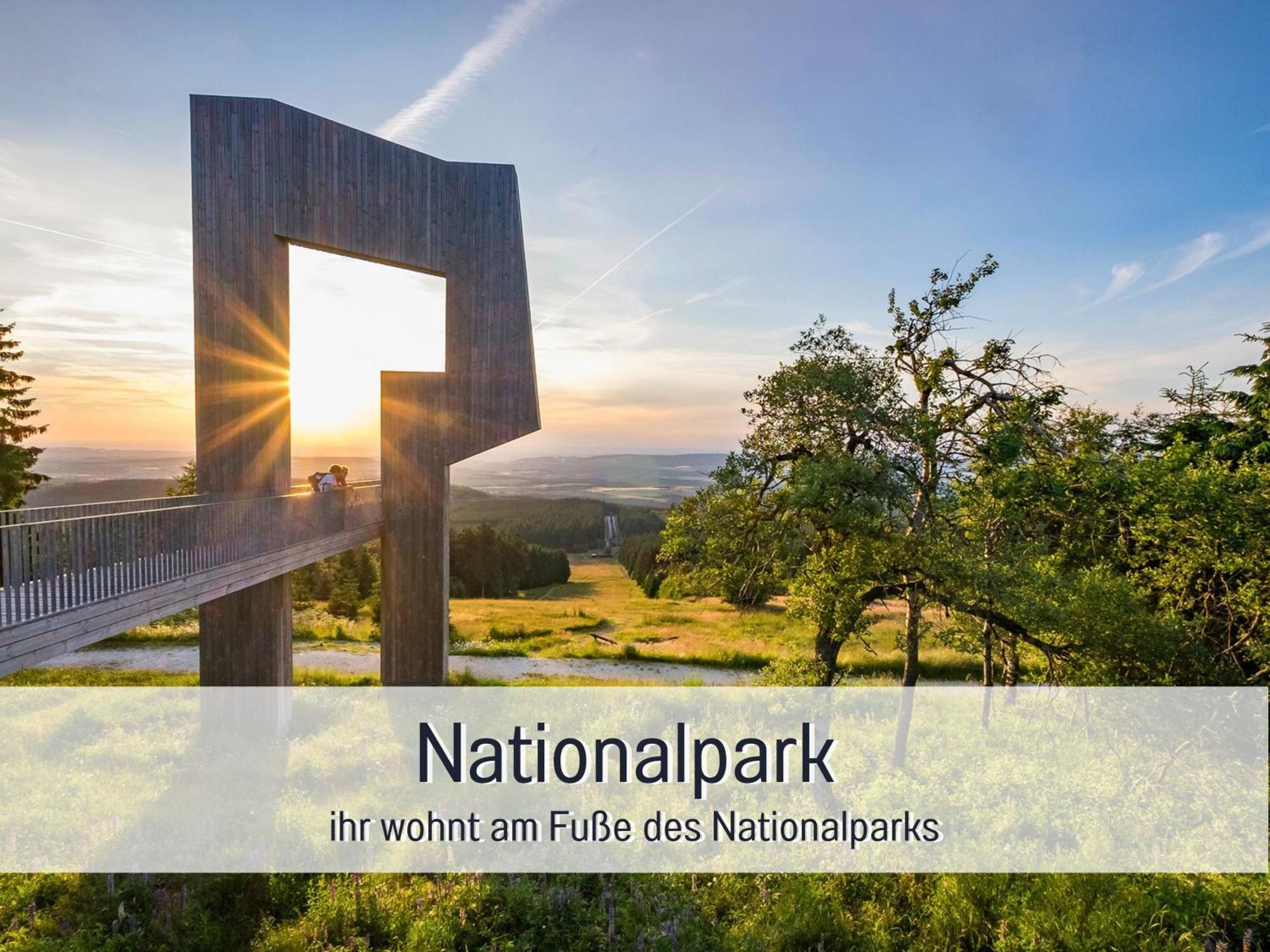 Natur-Chalet Zum Nationalpark Franz Inkl. E-Auto Allenbach Eksteriør bilde